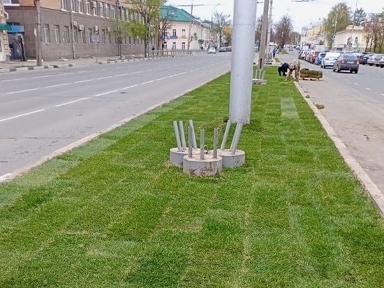 Рулонный газон высадили на улице Мира в Вологде