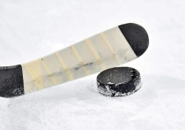 Десятилетний российский хоккеист напал на арбитров во время матча на турнире «Ледокол», который прошел в Свердловской области