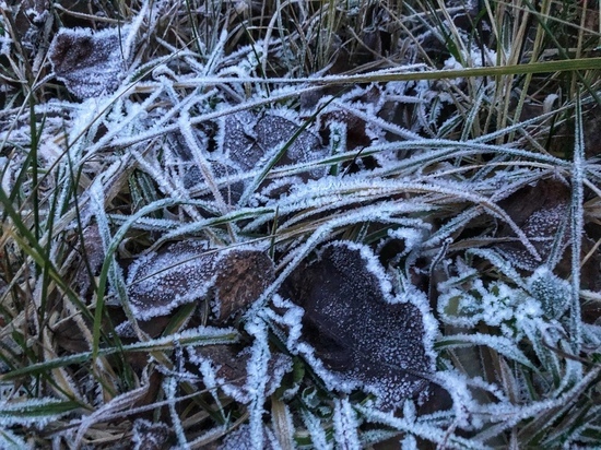 МЧС снова предупреждает о ночных заморозках в Тверской области