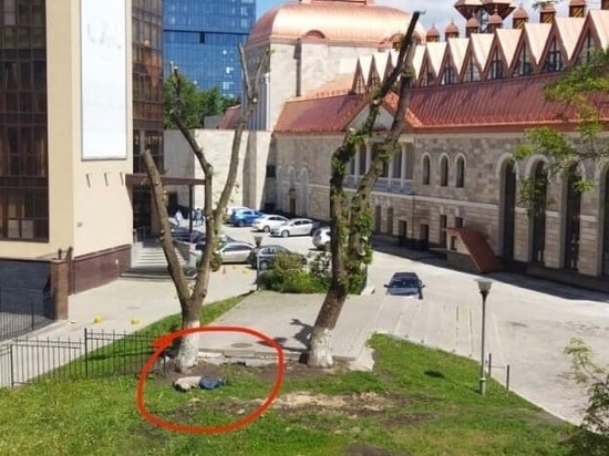 В сквере за кукольным театром воронежцы обнаружили труп неизвестного