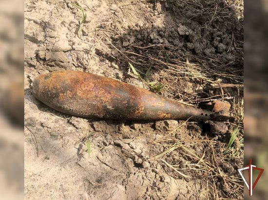 Минометную мину обнаружили на обочине трассы Екатеринбург-Курган