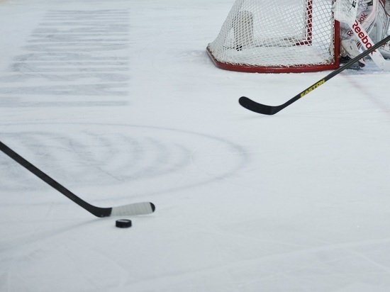 Десятилетний хоккеист избил клюшкой судей на свердловском турнире