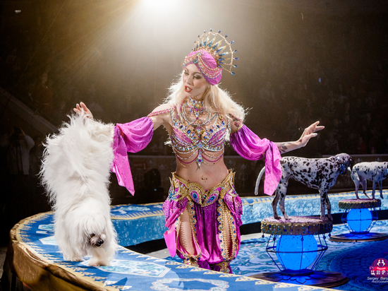 В Рязани впервые покажут новое цирковое шоу Гии Эрадзе «Песчаная сказка»