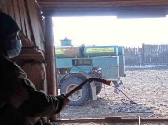 В Целинном районе Калмыкии ввели веткарантин