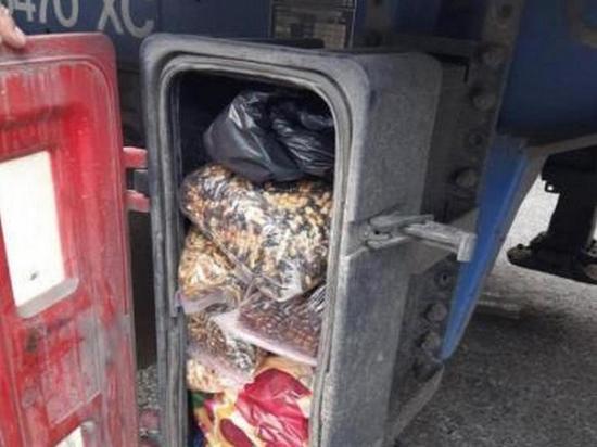 Гражданин Турции пытался вывезти из Украины 60 кг янтаря