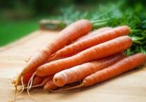 Кривая морковь причудливых форм забавляет садоводов, но порой хочется получить красивый урожай