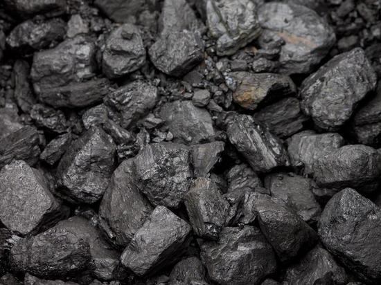 Власти Алтайского края создадут 45-дневный запас угля в каждом муниципалитете