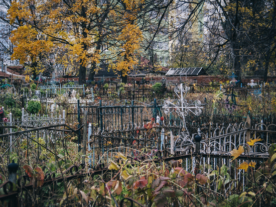 В Сасове Рязанской области 39-летний мужчина украл могильные ограды