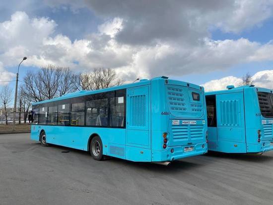 Более 90 автобусов Петербурга перейдут на новую транспортную модель с 1 июня