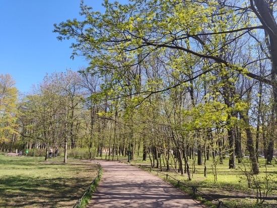 Петербуржцам предложили выбрать проект благоустройства парка у Ижорского пруда