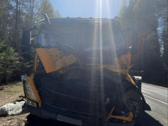 Два грузовика столкнулись на трассе Карелии