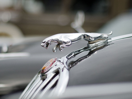 Рязанец вместо оплаты долга по алиментам купил Jaguar XF