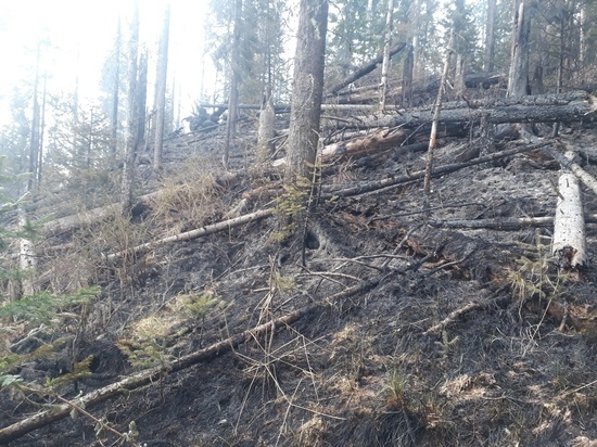 Лесной пожар в нацпарке «Красноярские Столбы» произошел из-за грозы