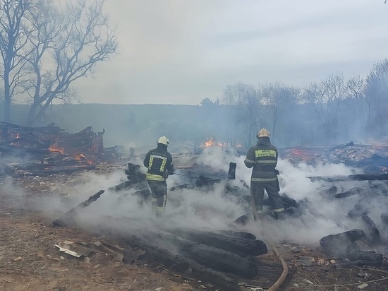 В Тверской области загорелись сразу шесть домов