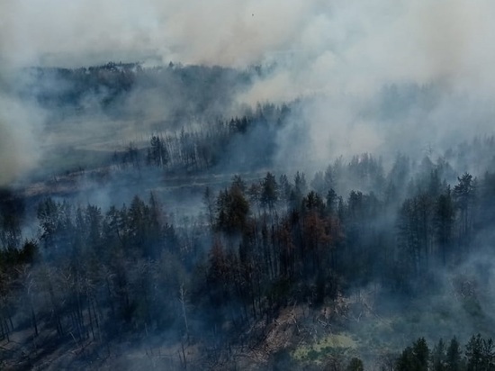 Гигантский пожар бушует в Завьяловском районе