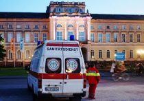 В Германии ввели 21-дневный карантин для заразившихся оспой обезьян