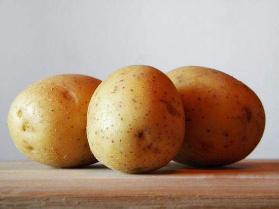 С начала года из Калининградской области в другие регионы вывезли пять тысяч тонн картофеля