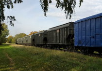 В Литву прибыл первый поезд с украинским зерном