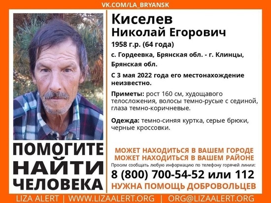 На Брянщине пропал без вести пожилой мужчина