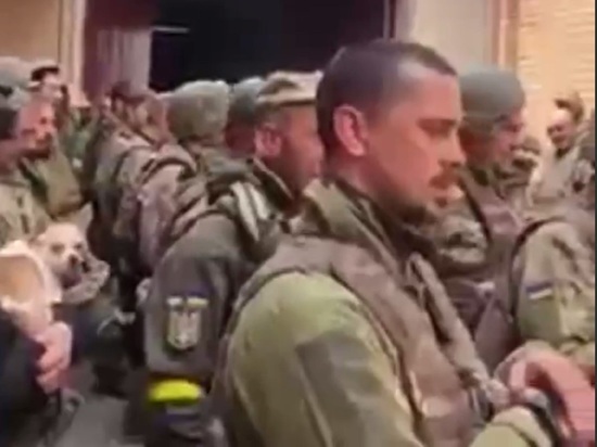 Бойцов 115-й бригады ВСУ, отказавшихся воевать против России, власти Украины отправили в СИЗО за «дезертирство»