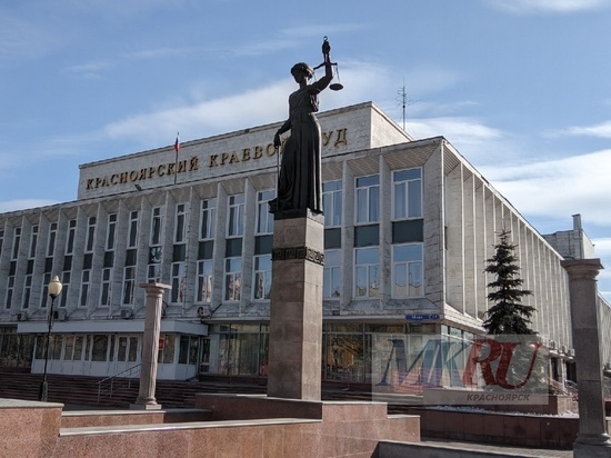 Убивший собственную мать житель Красноярского края приговорен к 15 годам тюрьмы