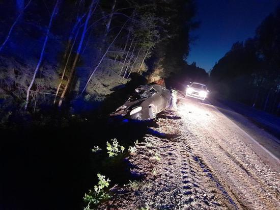На трассе Псков – Гдов – Сланцы водитель сбил лося, пострадало два человека