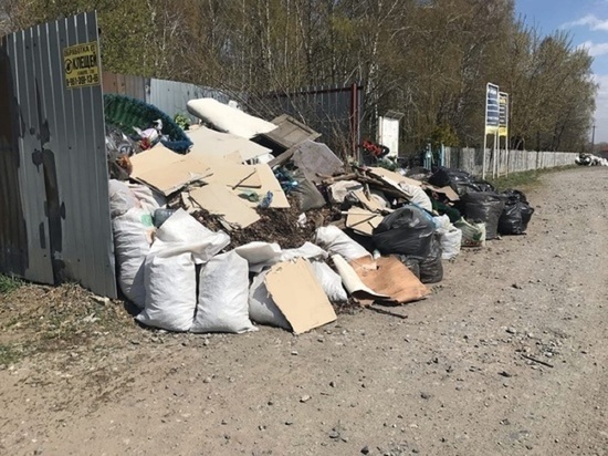 Успешные и достаточные условия для мусорной концессии назвали новосибирские эксперты