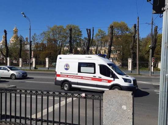 Еще 326 петербуржцев с COVID-19 выявили за сутки