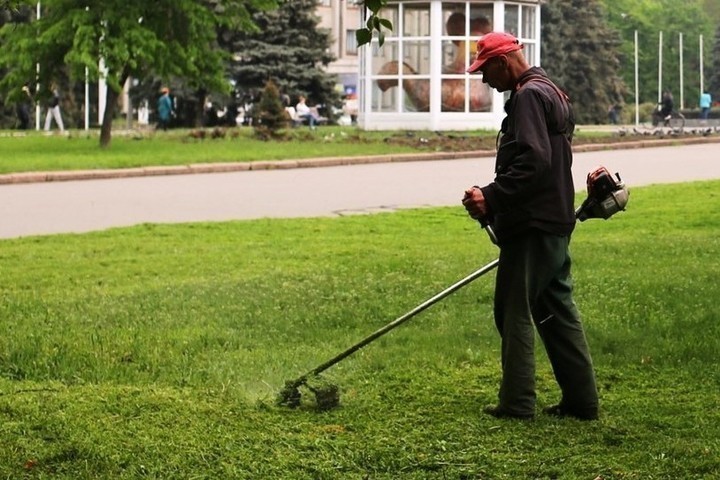 Лето наступает — в Костроме начали окашивать траву на городских территориях