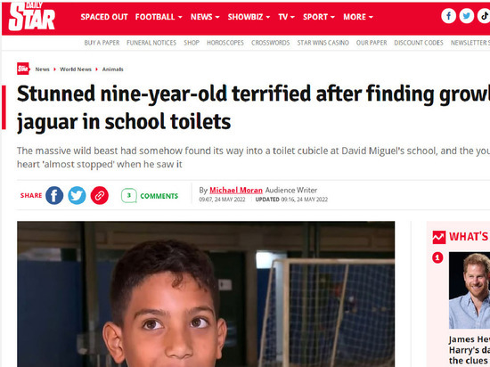 Бразильский школьник столкнулся в туалете с ягуаром