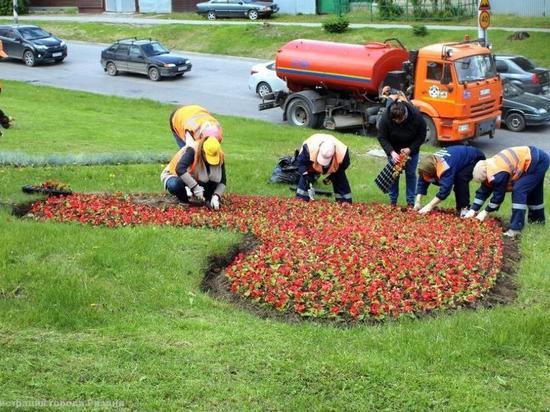 В Рязани планируют высадить 400 тысяч однолетних цветов