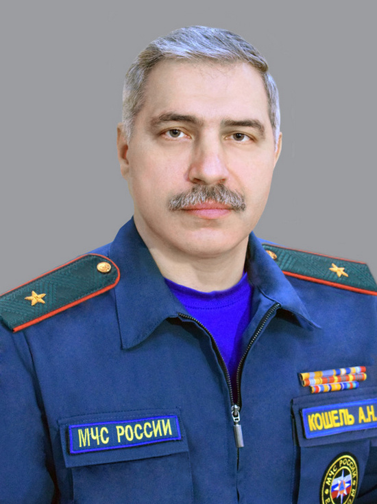 Главный спасатель Воронежской области МЧС заработал около 2,5 млн рублей за прошлый год