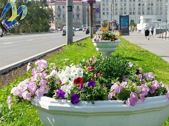 В столице Заполярья стартовал месячник по озеленению города