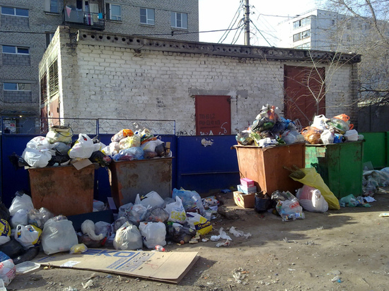 Местные общественники провели опрос населения и предложили варианты решения мусорной проблемы