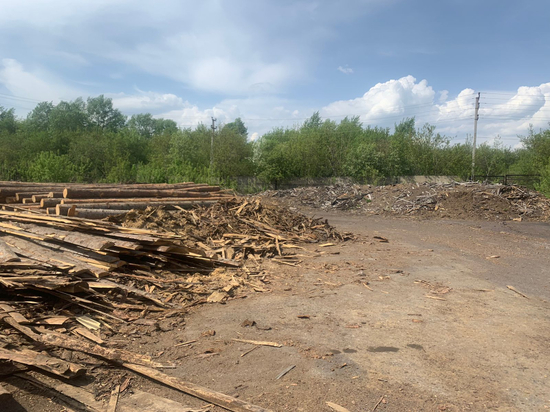 Деревообрабатывающее кузбасское предприятие ответит перед законом за незаконный склад опилок
