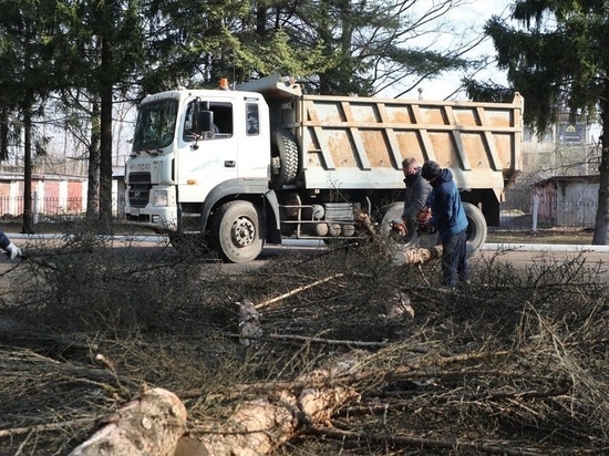 Введенское кладбище в Вологде расчищают от мусора