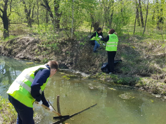 Берег реки Черная в Хабаровске волонтеры почистили в рамках акции