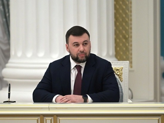 Пушилин назвал условие для референдума по вхождению Донбасса в состав России