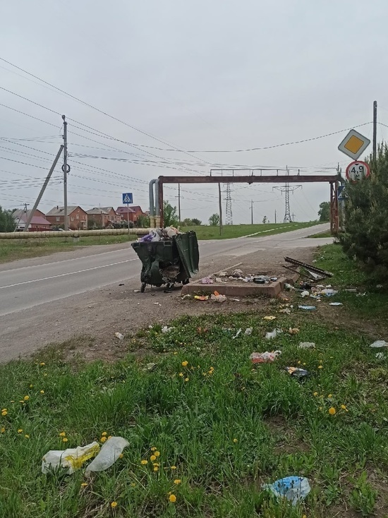 Кузбассовцы пожаловались на расплавленный мусорный контейнер