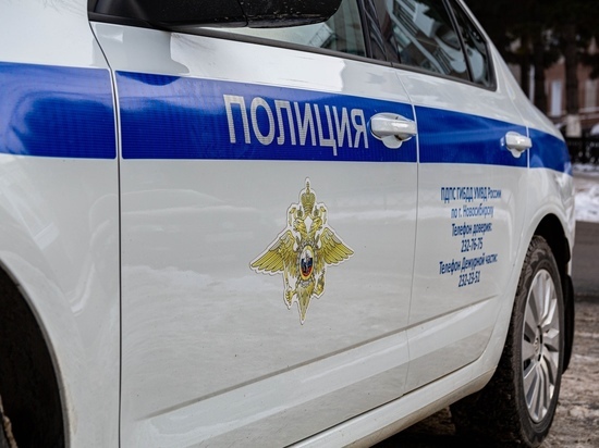 Две 14-летние девочки пропали под Новосибирском