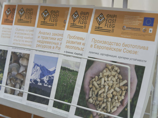 В Якутии начнут производить топливо из отходов древесины