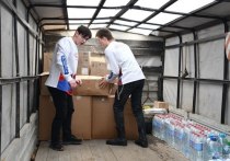 В Подмосковье открыто более 130 пунктов сбора гуманитарной помощи для жителей Донбасса и освобожденных территорий