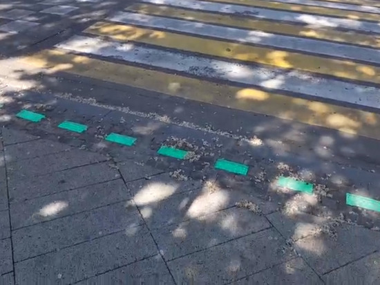 Для зеленоградских пешеходов «зебру» оборудовали светодиодными полосами