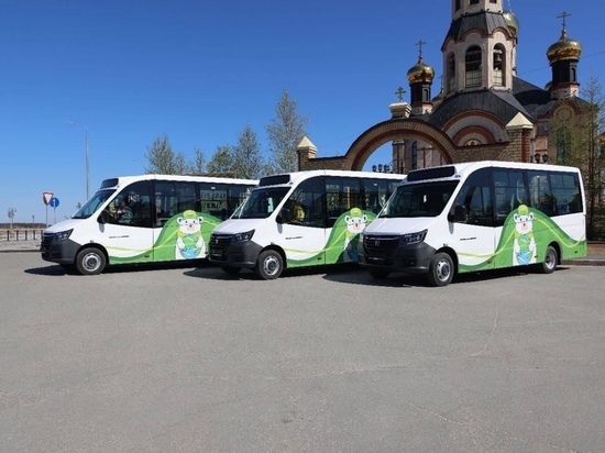 Новые брендированные под Год экологии автобусы пригнали в Тарко-Сале