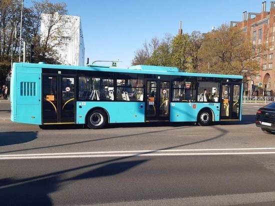 В каких районах Петербурга появится больше новых автобусов с началом второго этапа транспортной реформы