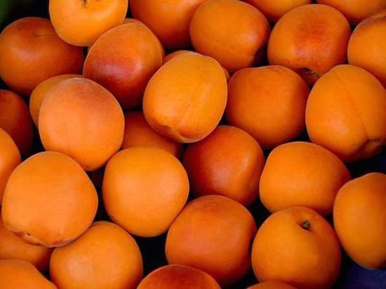 В Омской области выявили более 57 тонн зараженных фруктов и овощей