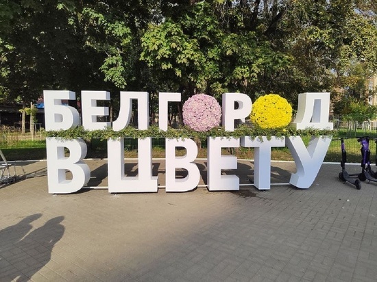Фестиваль «Белгород в цвету» пройдет в начале сентября
