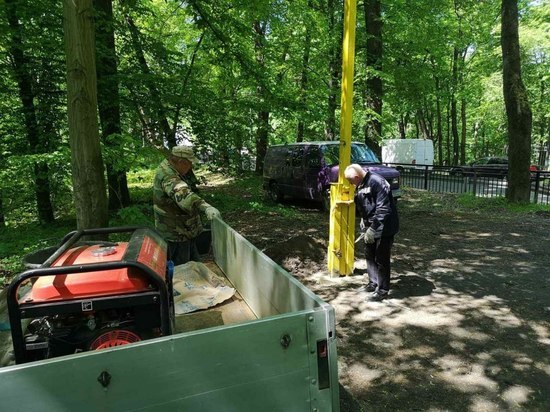 В калининградских парках закрывают стихийные въезды для машин