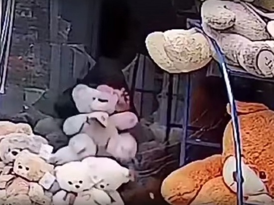В Магнитогорске подростки украли трех плюшевых мишек из цветочного павильона