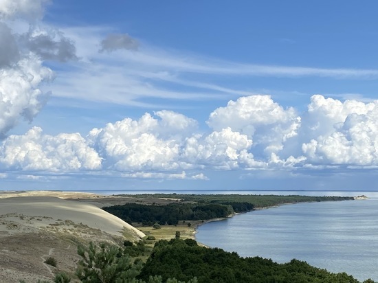 В парке «Куршская коса» появится велодорожка